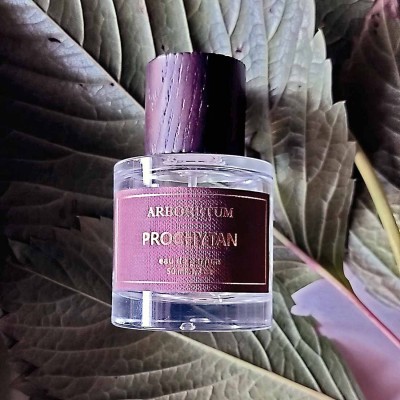 Arboretum Prochytan