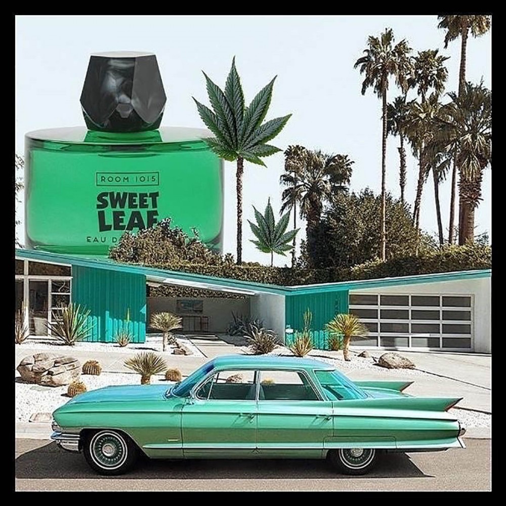 Room 1015 «Sweet Leaf» (НА ЗАКАЗ) - Фото 2